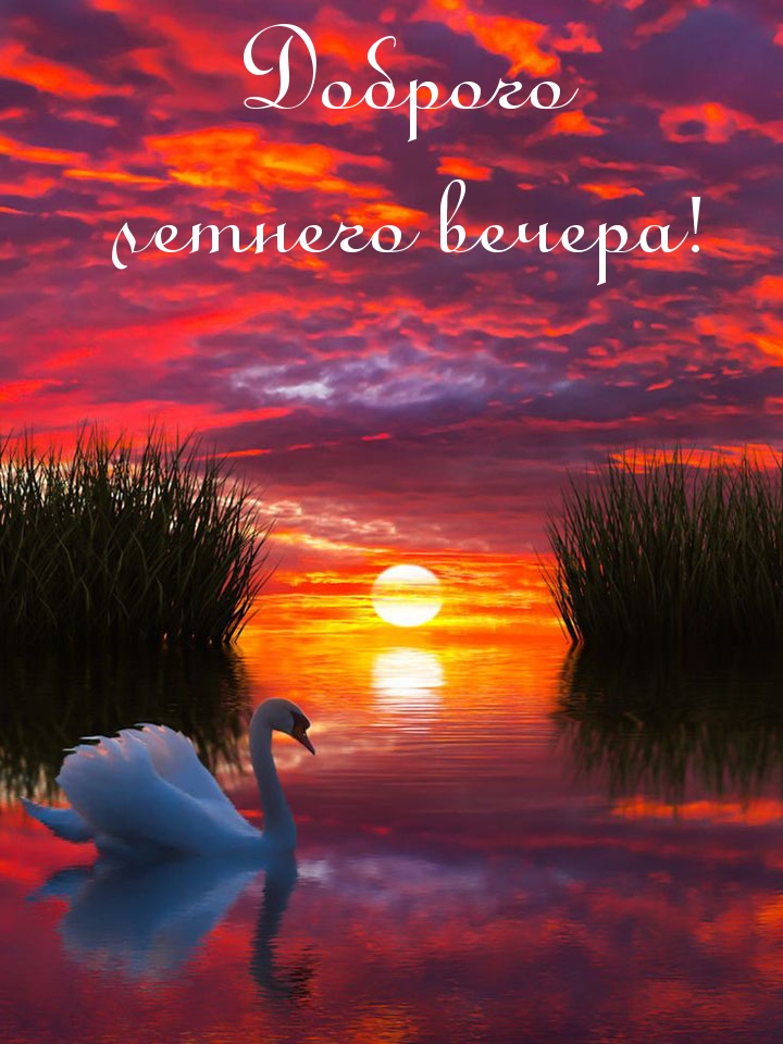 Доброго летнего вечера!