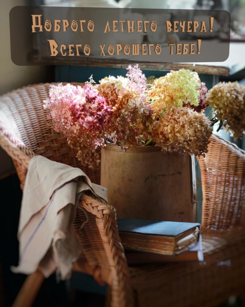Доброго летнего вечера! Всего хорошего тебе!