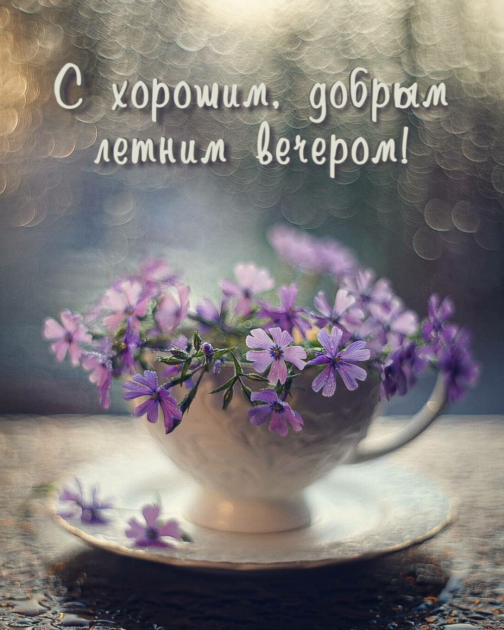 С хорошим, добрым летним вечером!