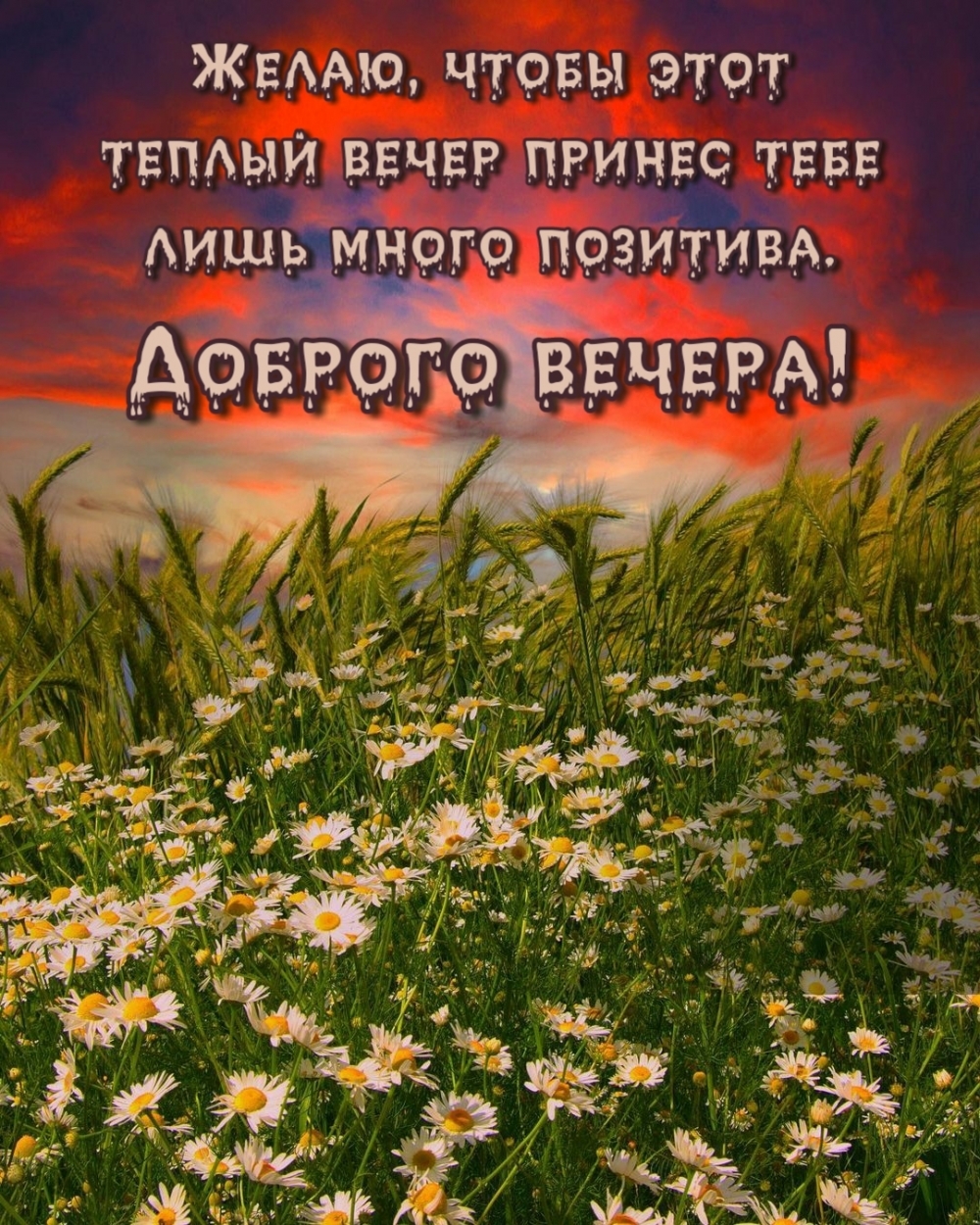 Доброго вечера!