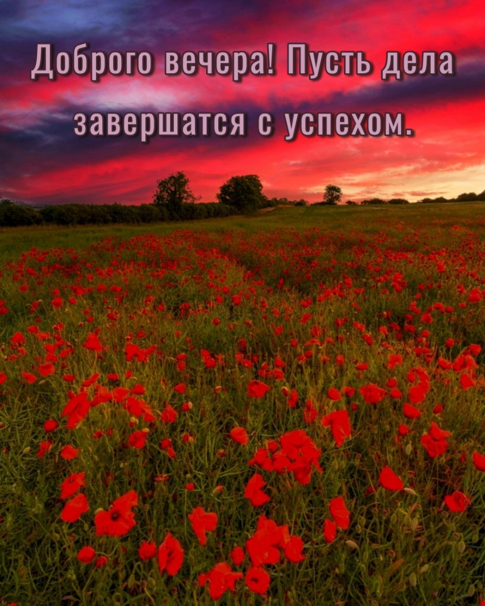 Доброго вечера! Пусть дела завершатся с успехом.