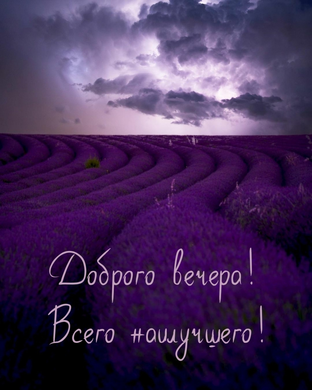 Доброго вечера! Всего наилучшего!