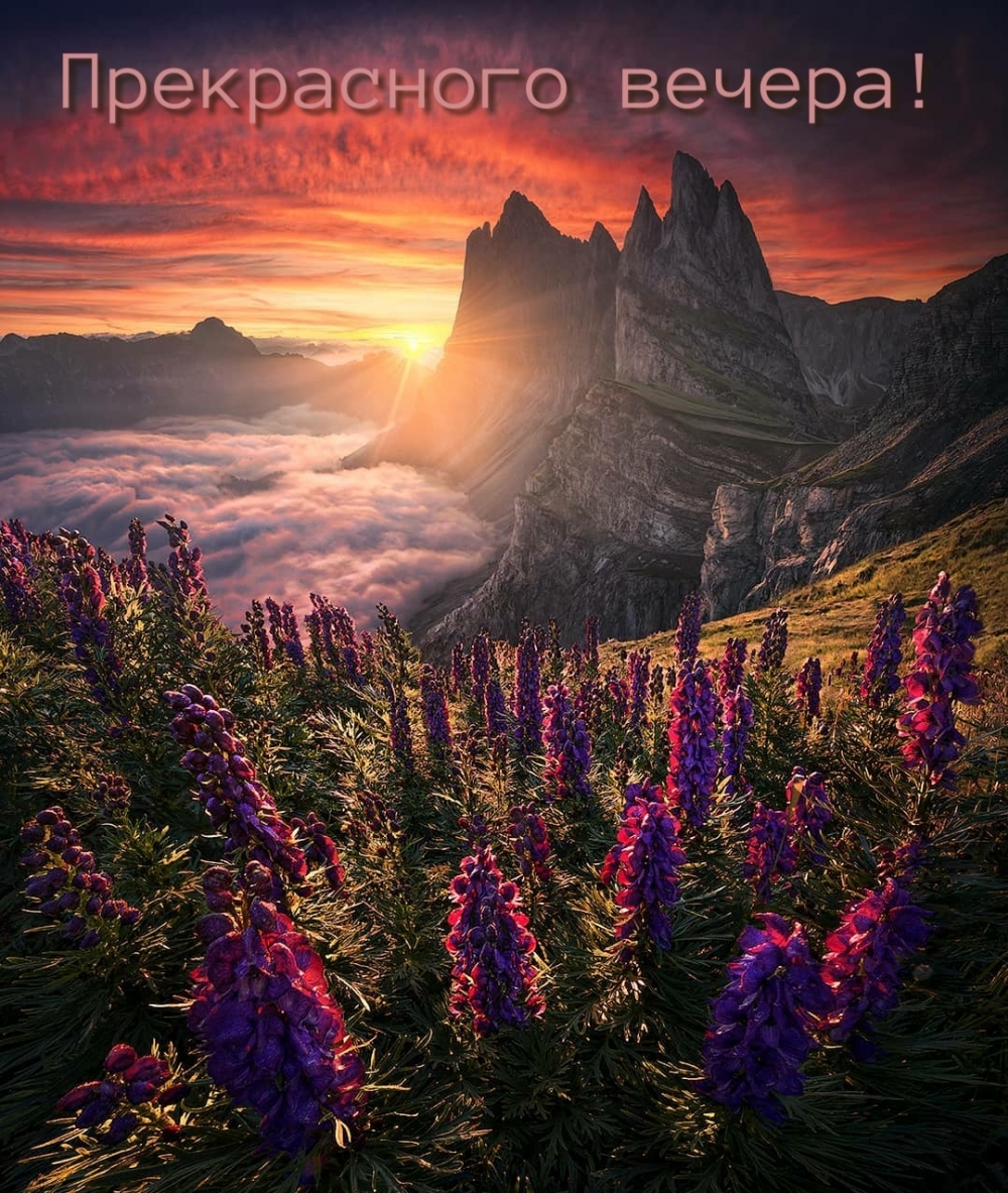 Прекрасного вечера!