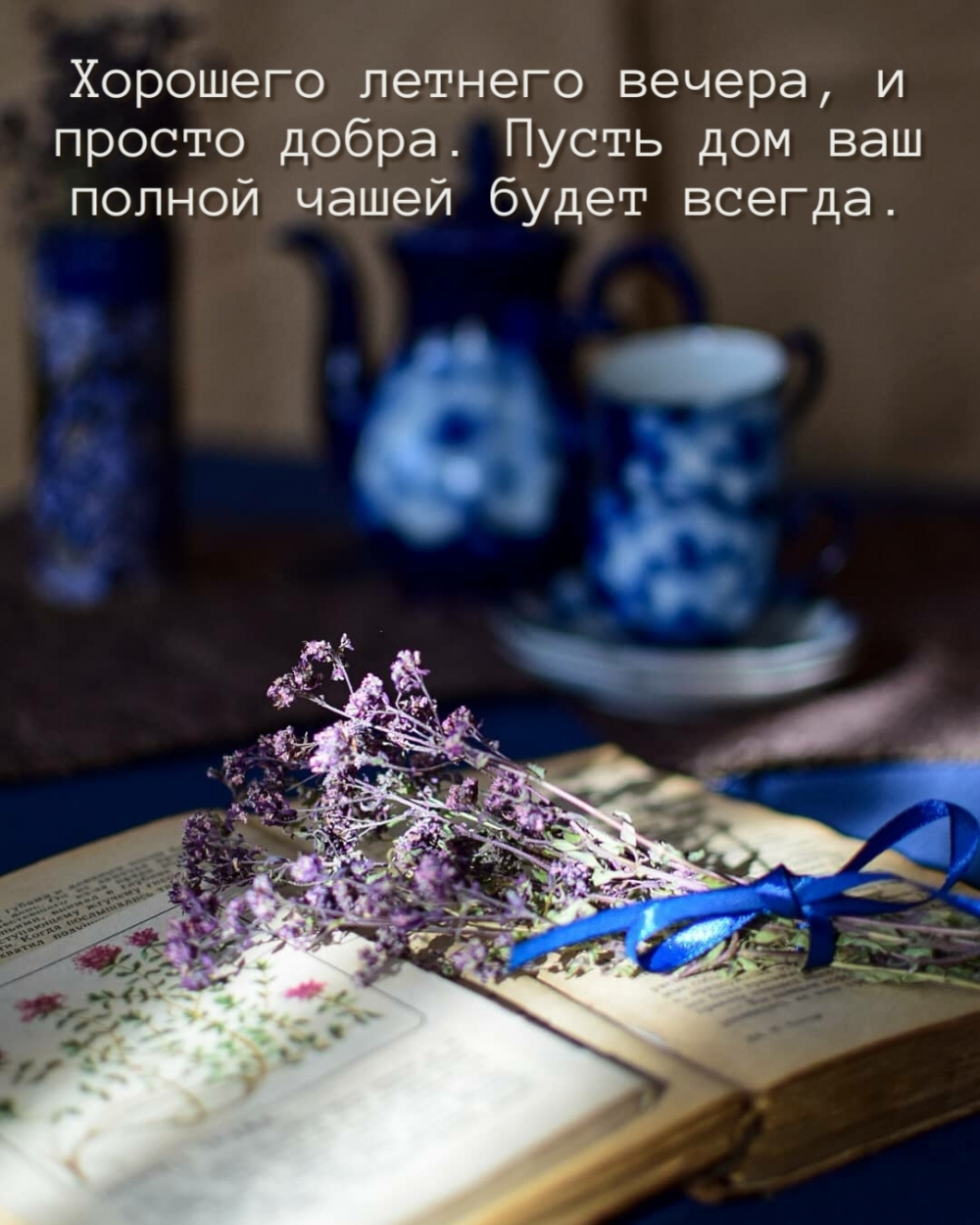 Хорошего летнего вечера, и просто добра.