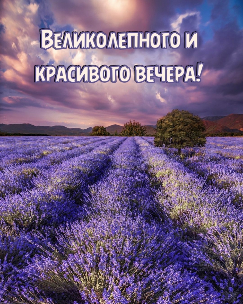 Великолепного и красивого вечера!
