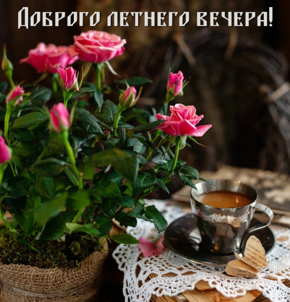 Доброго летнего вечера!