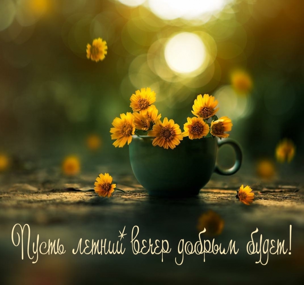 Пусть летний вечер добрым будет!