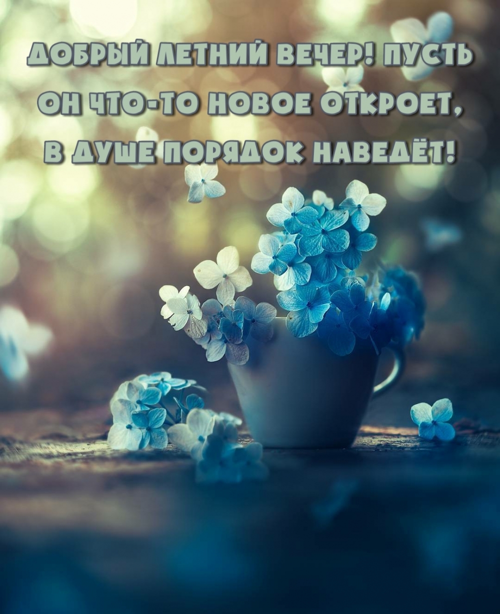 Добрый летний вечер!