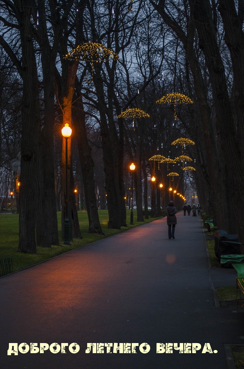 Доброго летнего вечера.