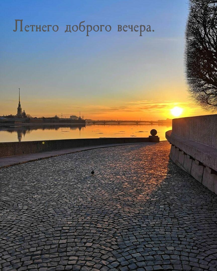Летнего доброго вечера.