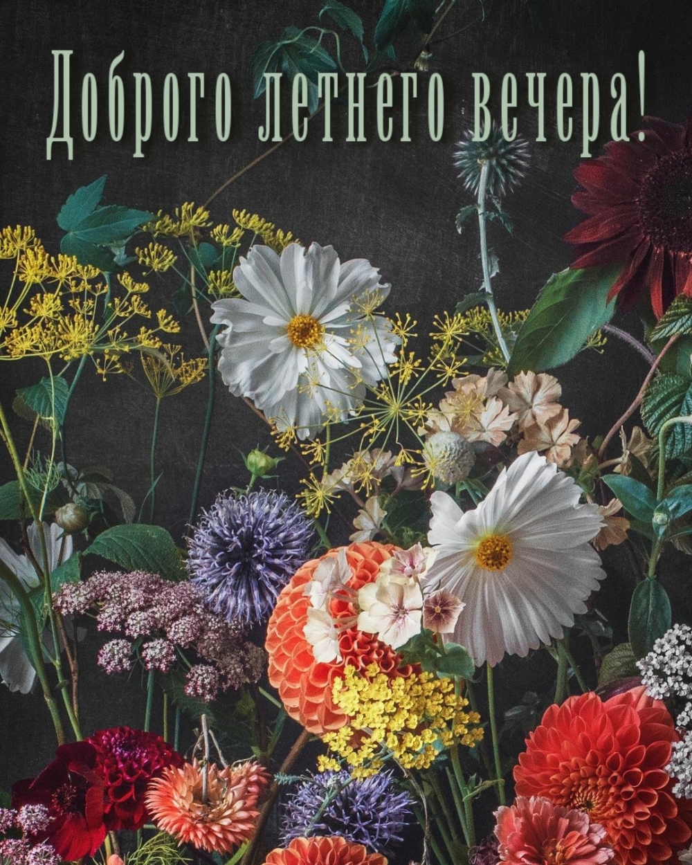 Доброго летнего вечера!