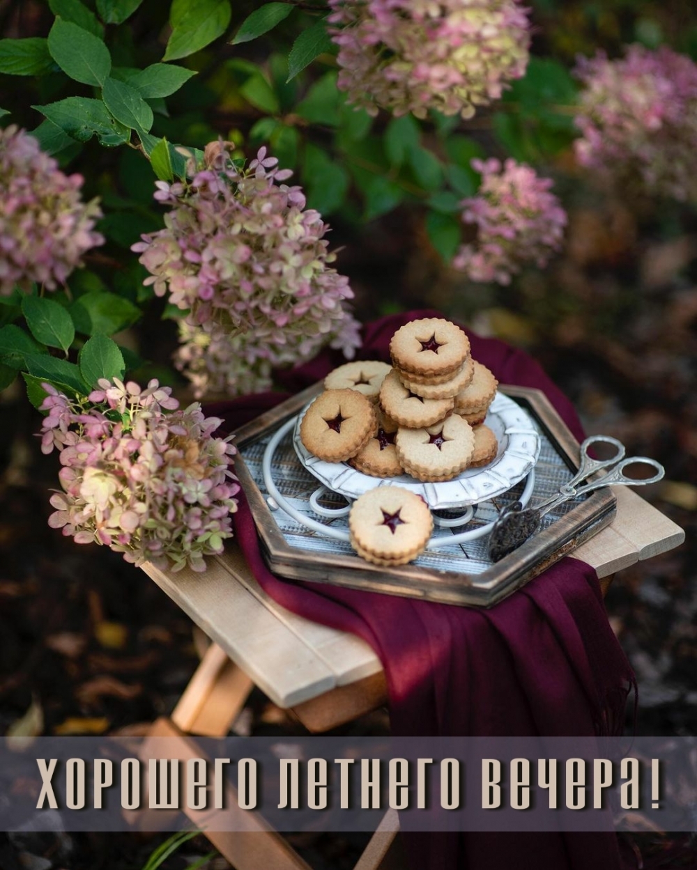 Хорошего летнего вечера!