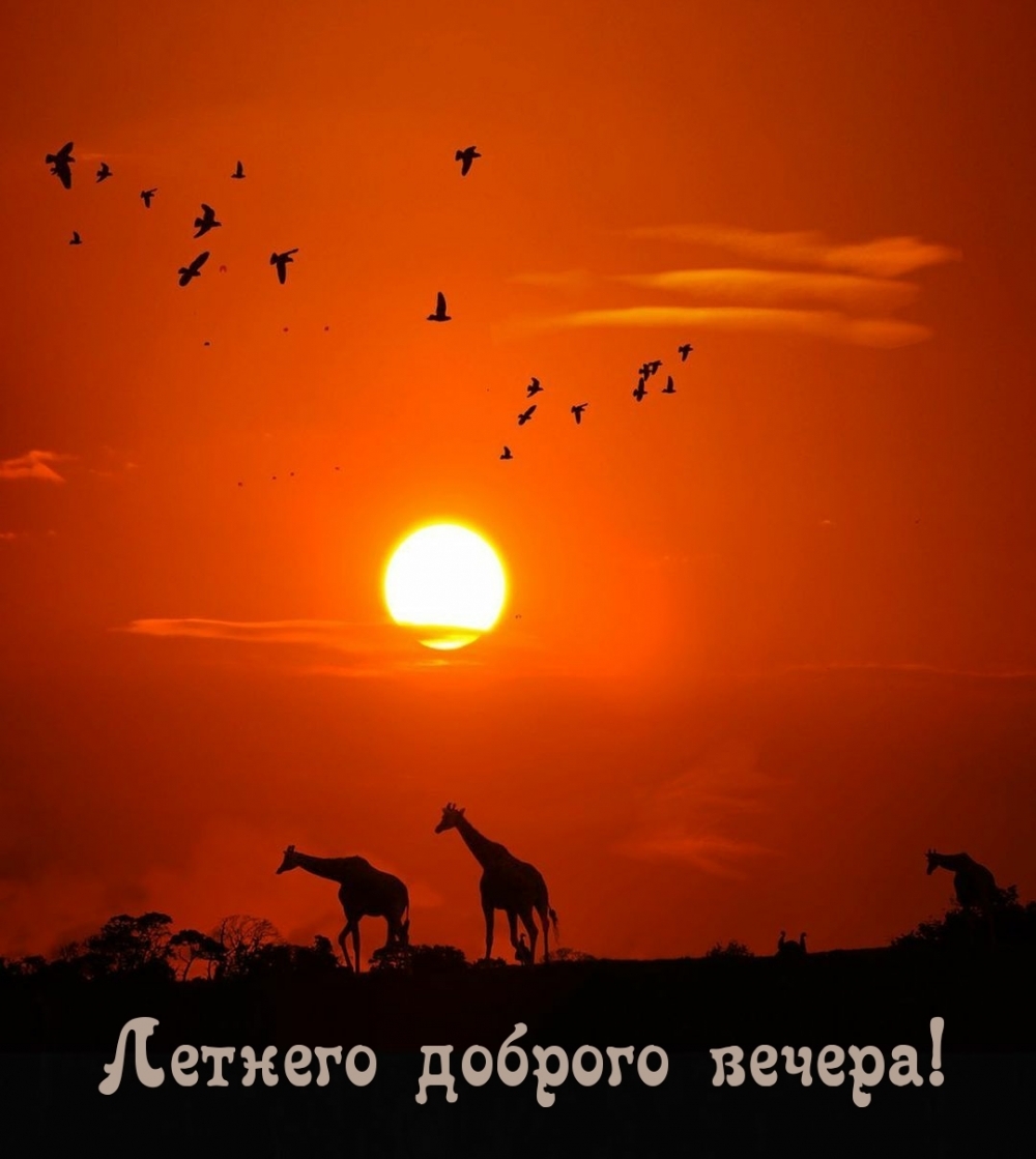 Летнего доброго вечера!