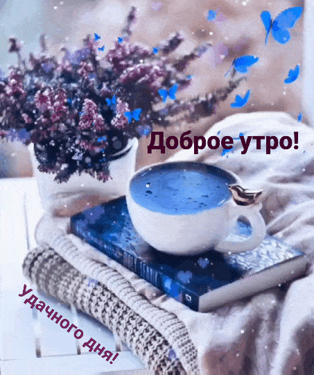 Доброе утро! Удачного дня!