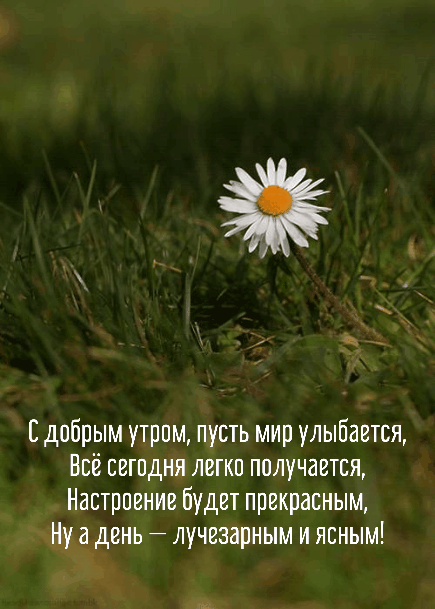 С добрым утром, пусть мир улыбается, Всё сегодня легко получается!