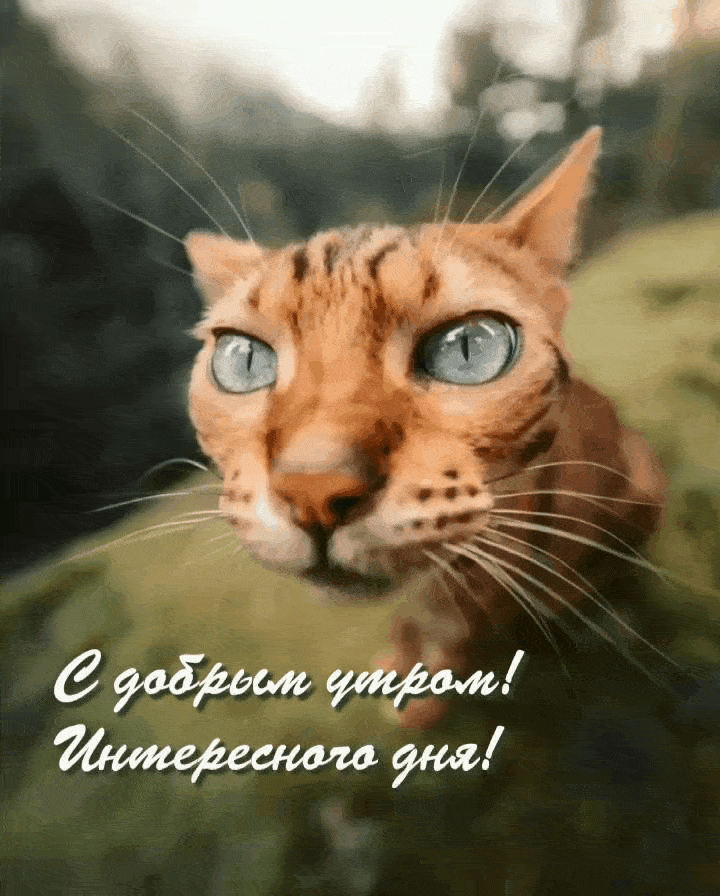 С добрым утром! Интересного дня!