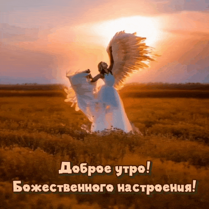 Доброе утро! Божественного настроения!