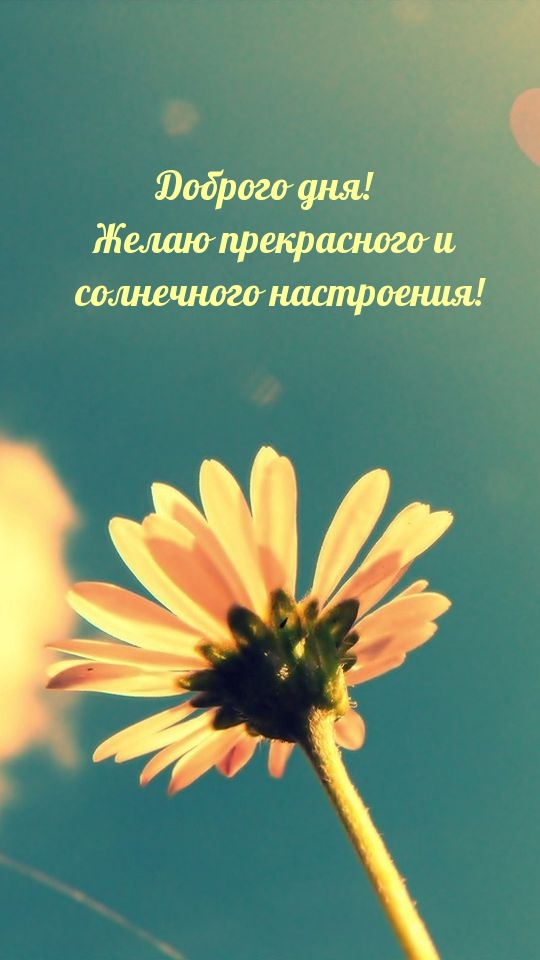 Доброго дня! Желаю прекрасного и солнечного настроения!