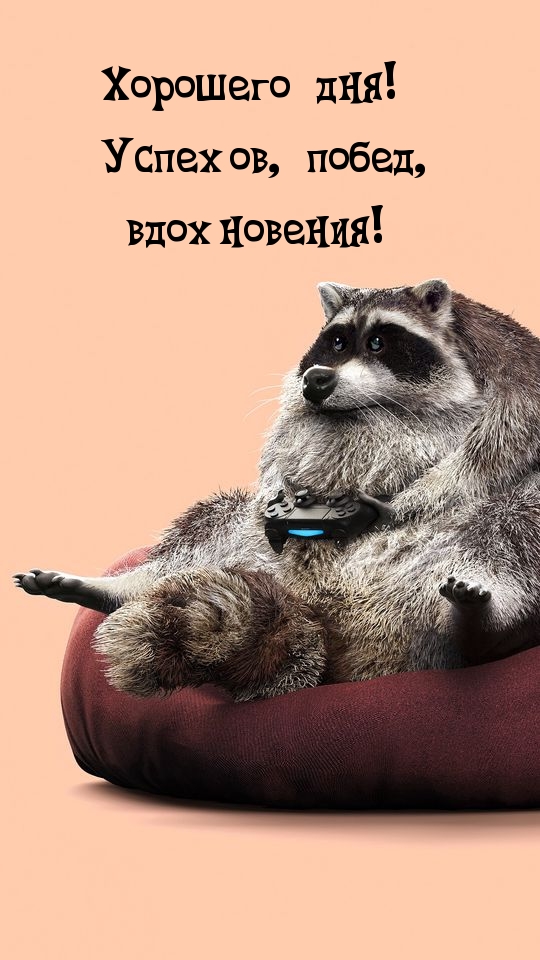 Хорошего дня! Успехов, побед, вдохновения!