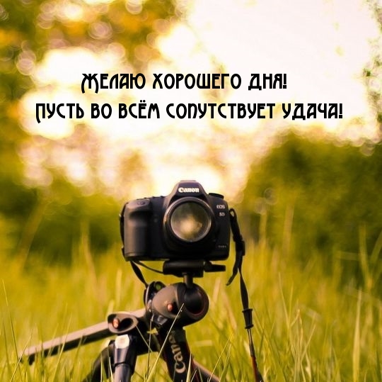 Желаю хорошего дня! Пусть во всём сопутствует удача!