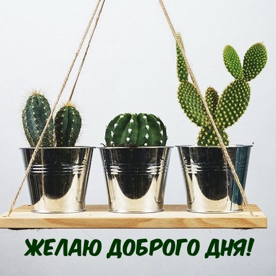 Желаю доброго дня!
