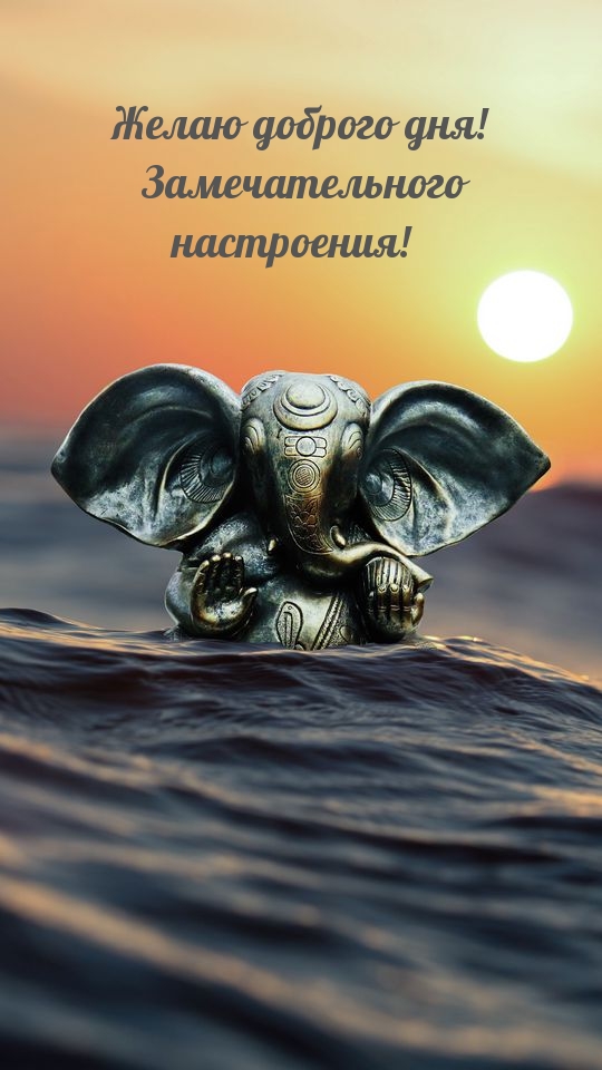 Желаю доброго дня! Замечательного настроения!