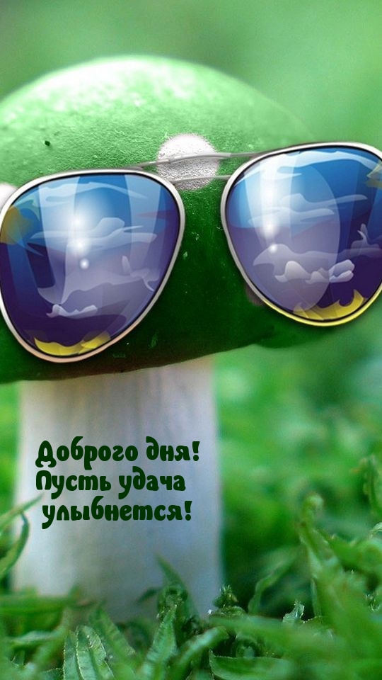 Доброго дня! Пусть удача улыбнется!