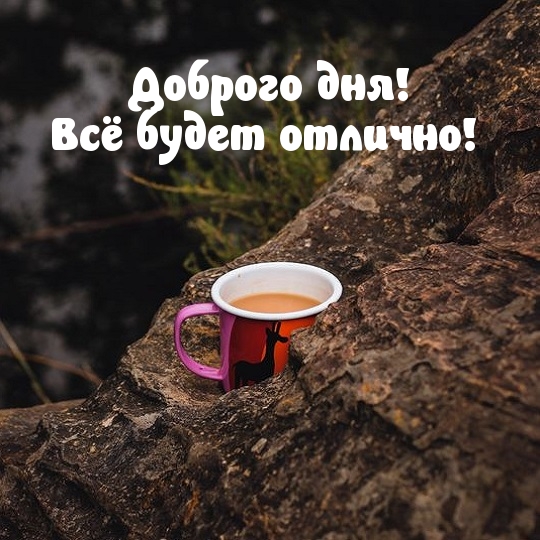 Доброго дня! Всё будет отлично!