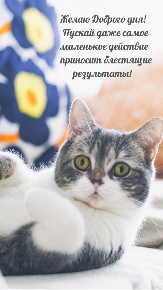 Желаю Доброго дня!