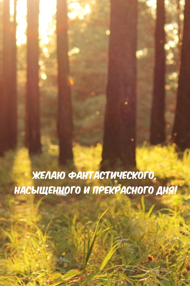 Желаю фантастического, насыщенного и прекрасного дня!