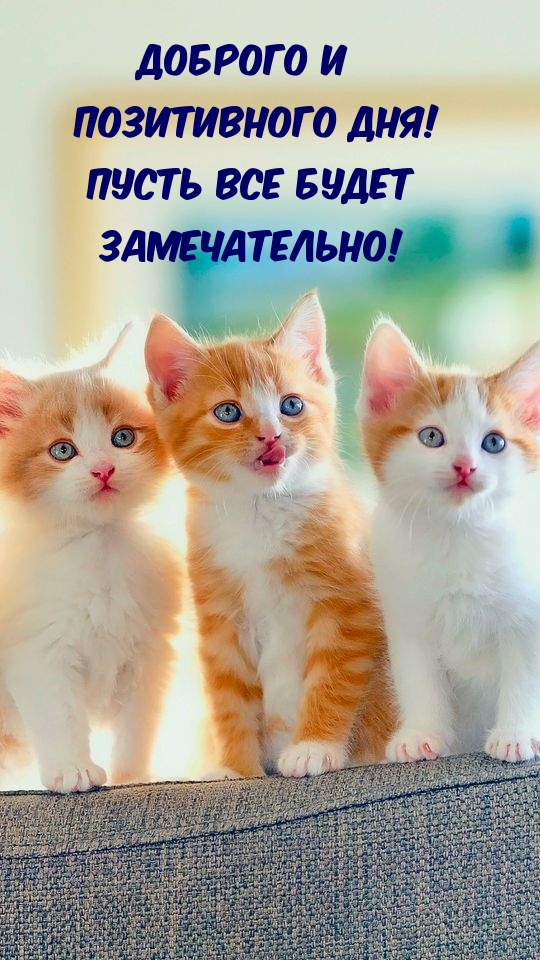 Доброго и позитивного дня! Пусть все будет замечательно!