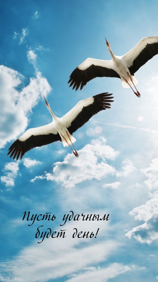 Пусть удачным будет день!