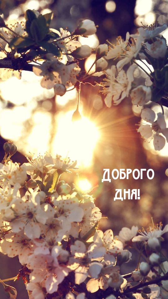 Доброго дня!