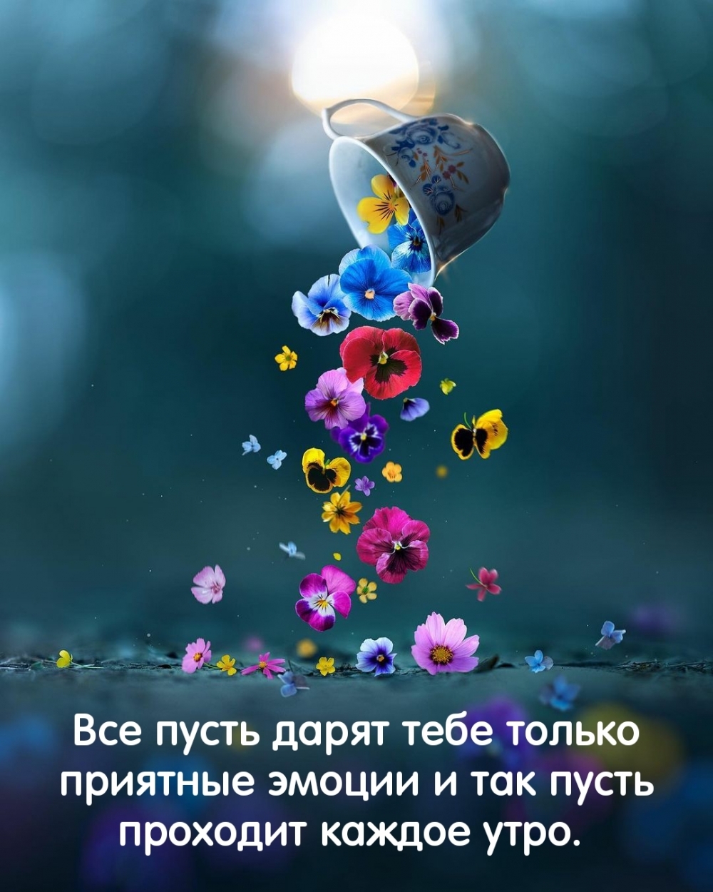 Все пусть дарят тебе только приятные эмоции