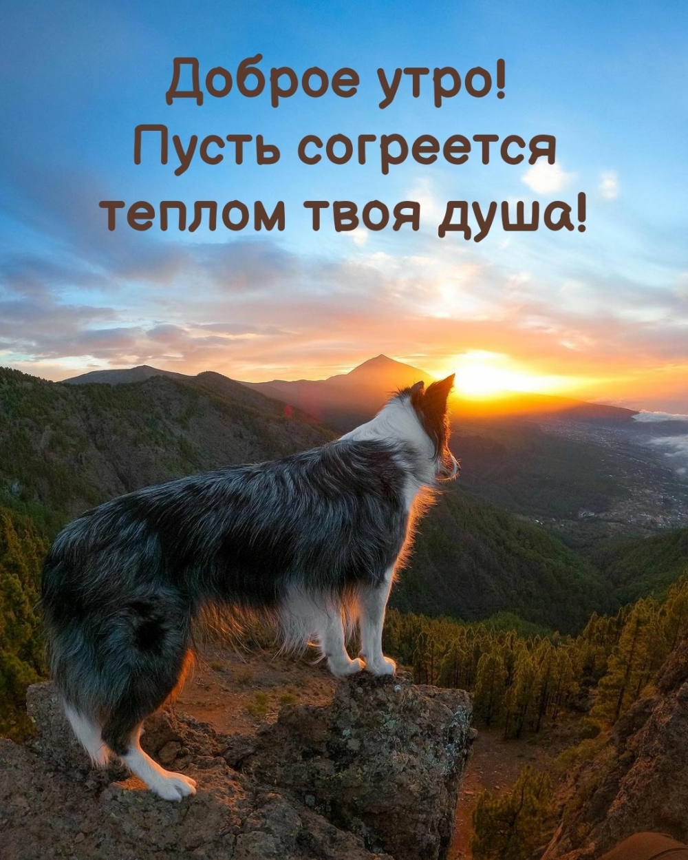 Доброе утро! Пусть согреется теплом твоя душа!