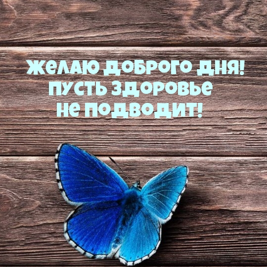 Желаю доброго дня! Пусть здоровье не подводит!