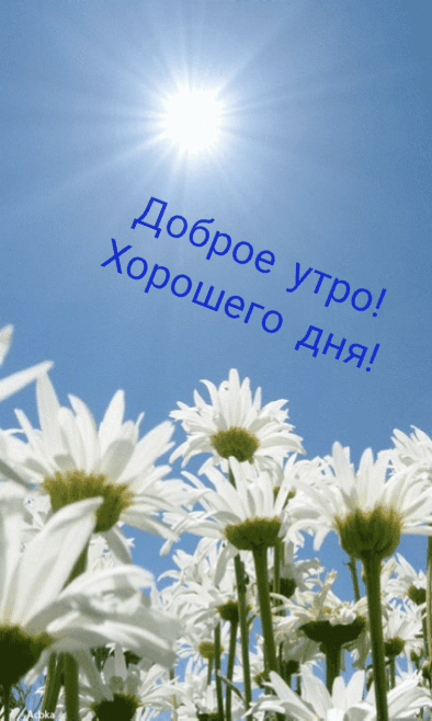 Доброе утро! Хорошего дня