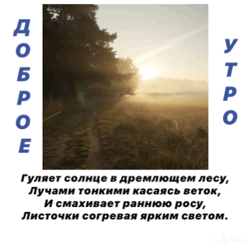 Гуляет солнце в дремлющем лесу, Лучами тонкими касаясь веток