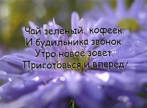 Утро новое зовет, Приготовься и вперед!
