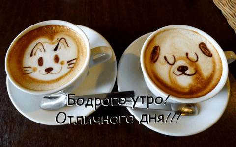 Бодрого утра! Отличного дня!!!