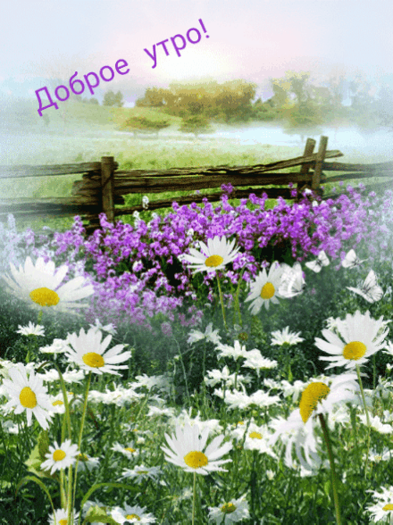 Доброе утро!