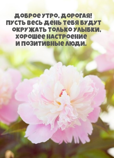 Доброе утро, дорогая!
