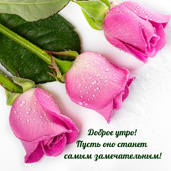 Доброе утро! Пусть оно станет самым замечательным!