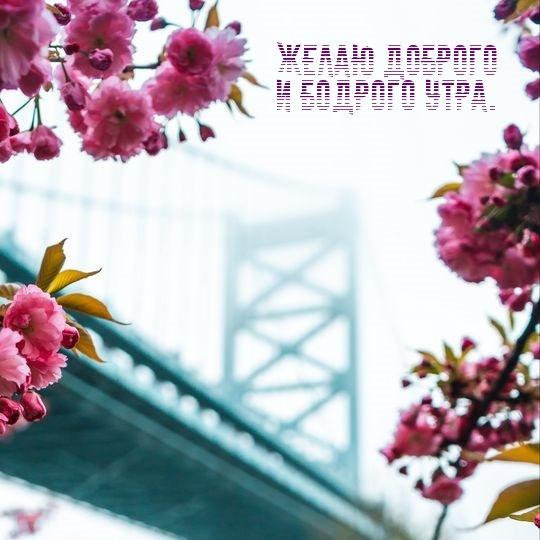 Желаю доброго и бодрого утра.