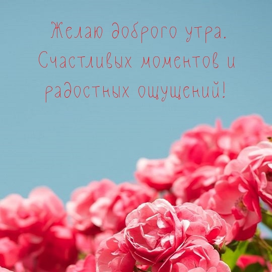 Желаю доброго утра.