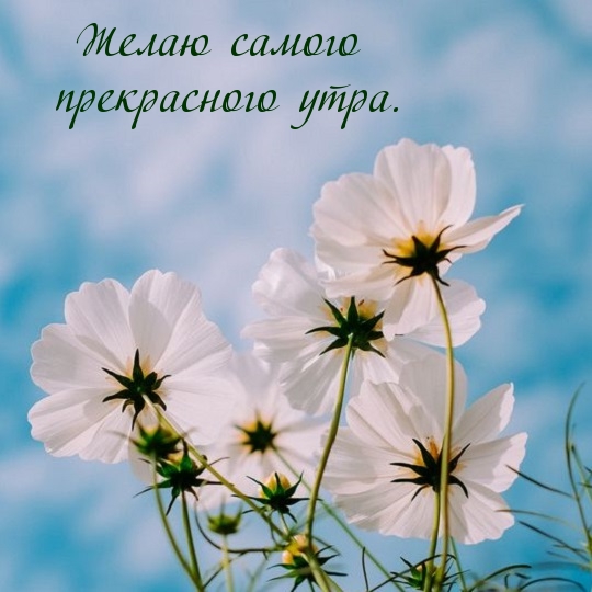 Желаю самого прекрасного утра.