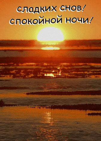 Сладких снов! Спокойной ночи!