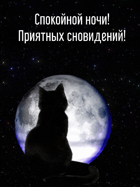 Спокойной ночи! Приятных сновидений!