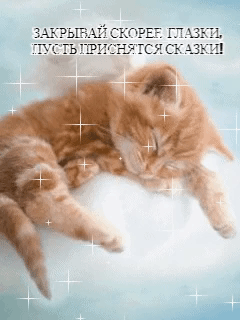 Закрывай скорей глазки, Пусть приснятся сказки!