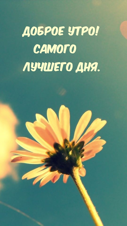 Доброе утро! Самого лучшего дня.